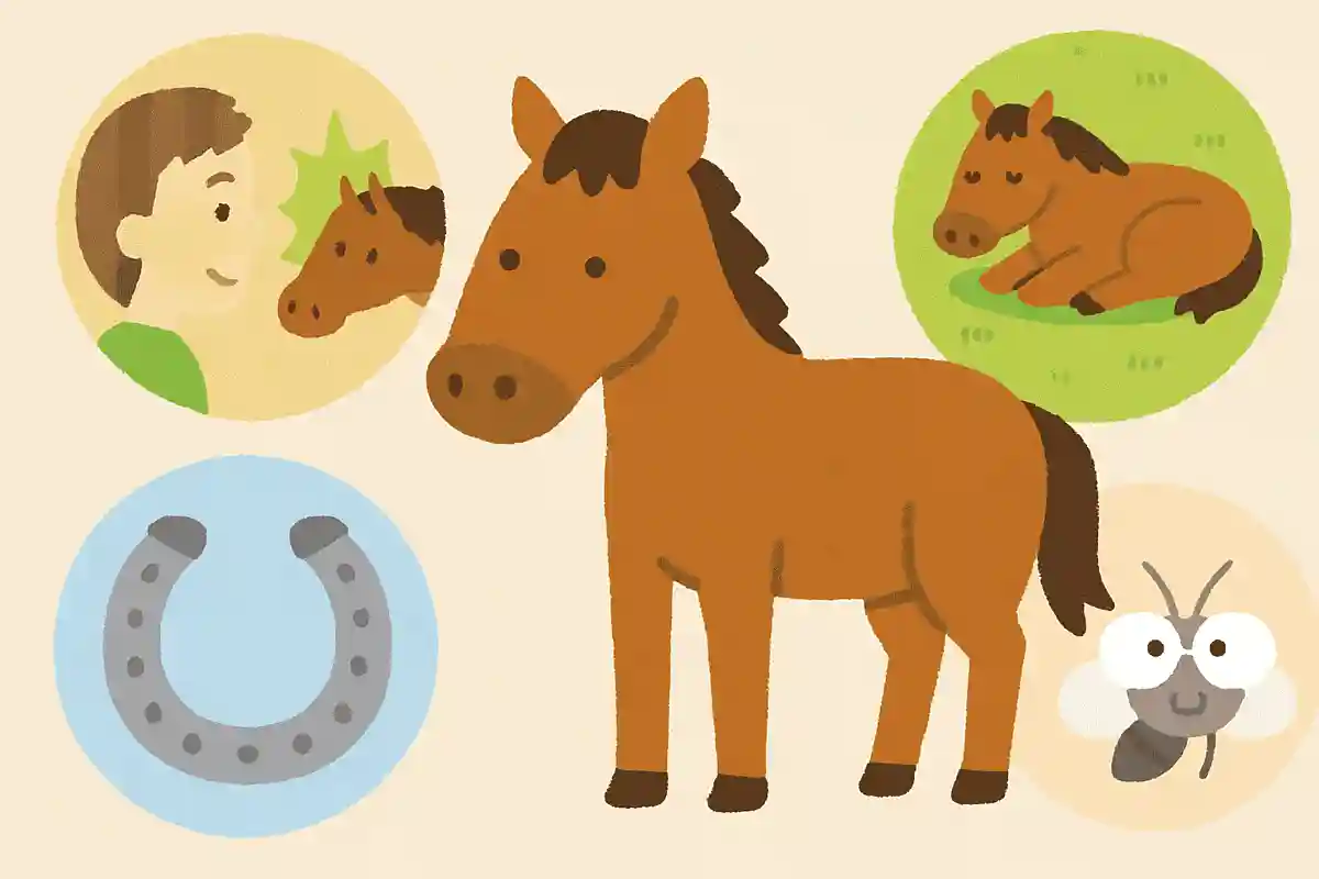 第六感があるNEW!