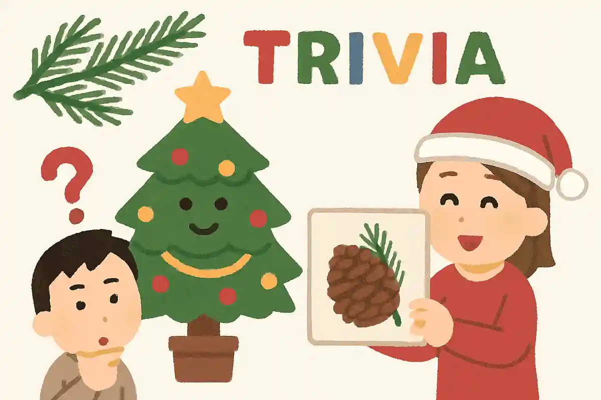 クリスマスに使う「松」は何を象徴しているでしょう？