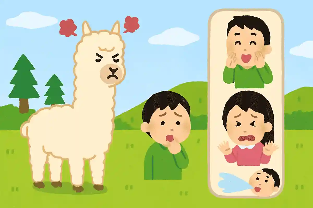 アルパカは機嫌が悪くなると何をするでしょう？NEW!