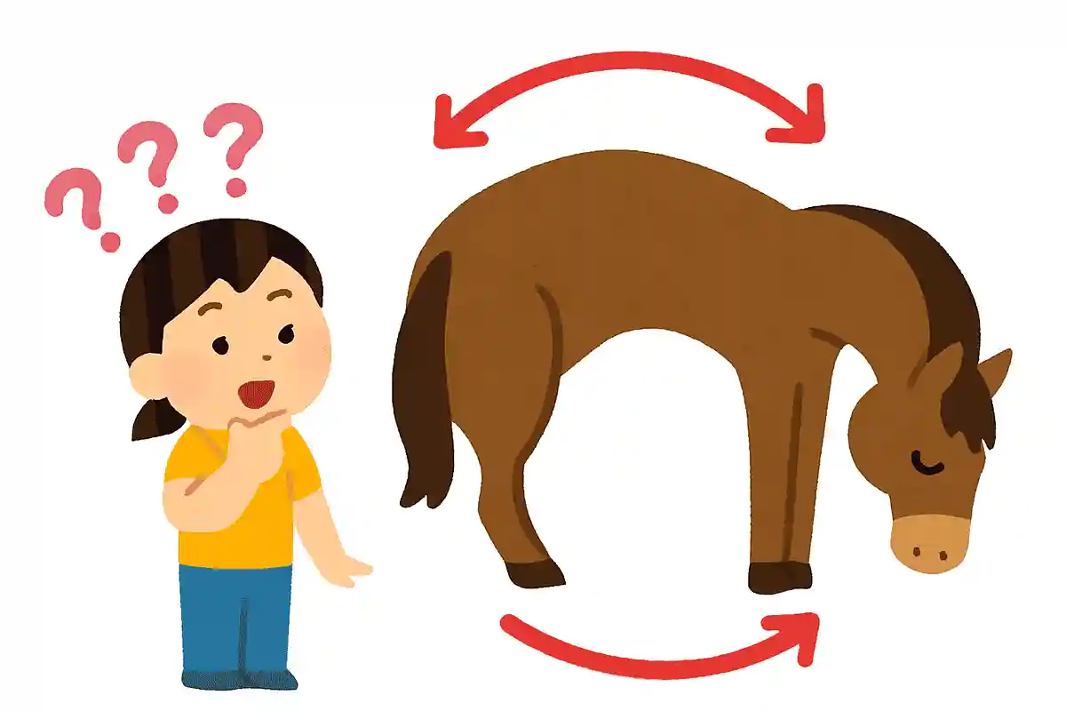 馬のせなかは、どれくらい曲がるでしょう？NEW!