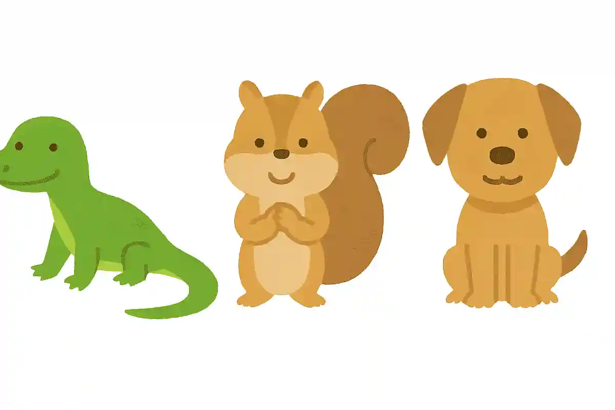 この中で尻尾が抜けることがある動物はどれでしょう？NEW!