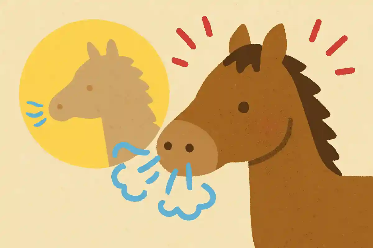 鼻呼吸しかできないNEW!