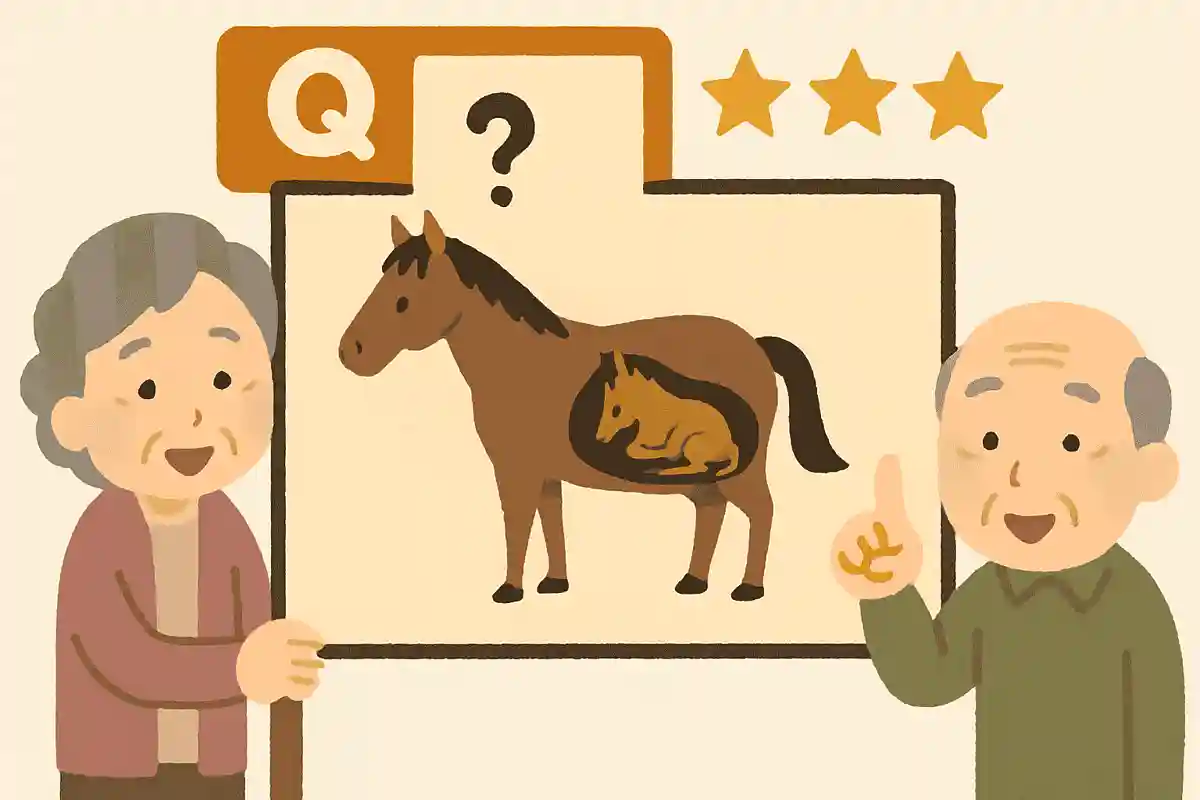 馬がお母さんのお腹の中にいる期間はどれくらいでしょうか？NEW!