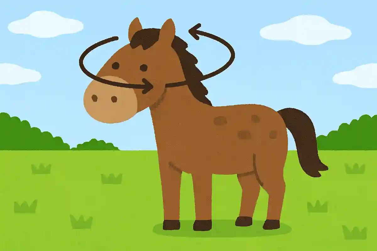 視野は約350度NEW!