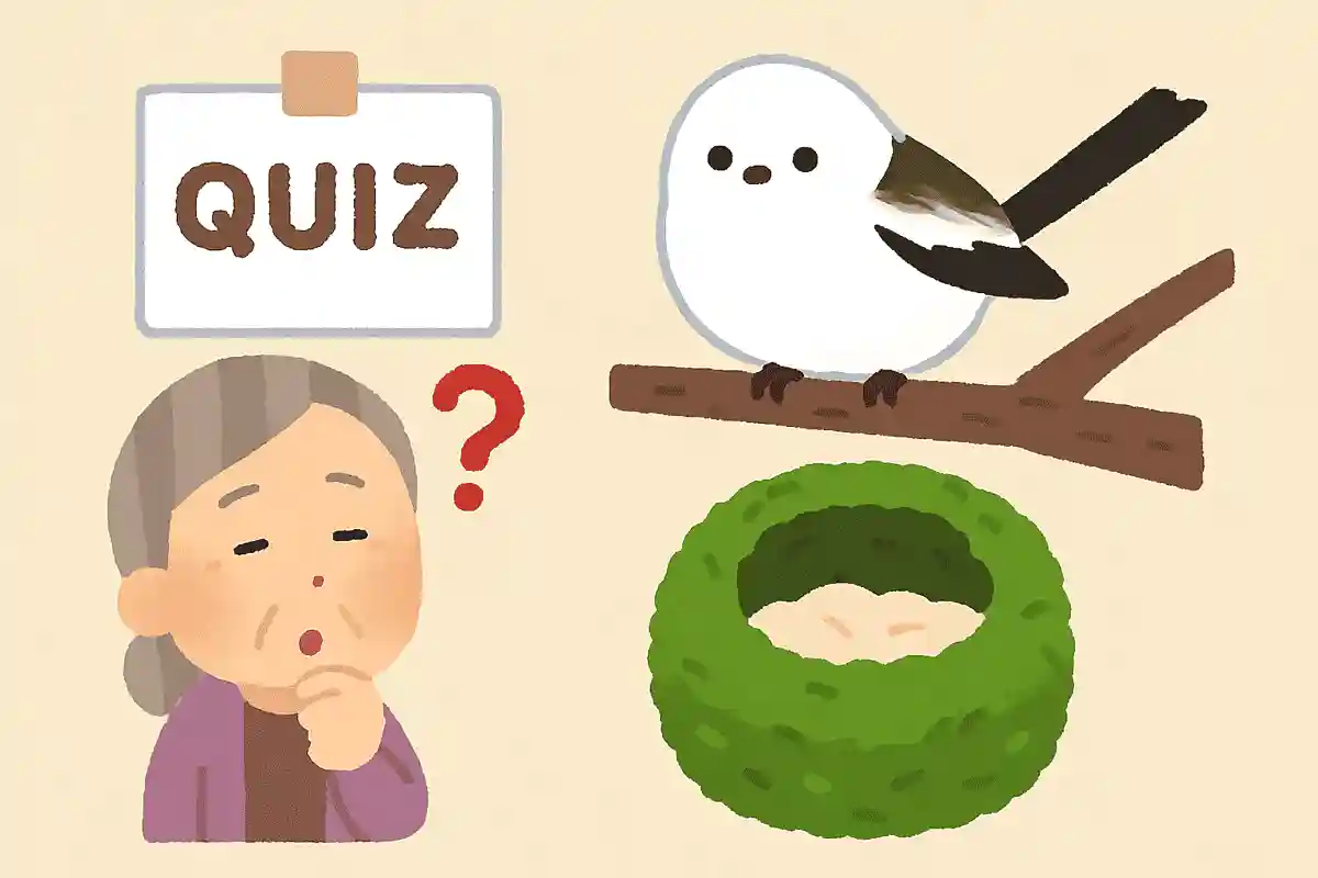 シマエナガは巣の内部の保温性を高めるため、何を敷き詰めるでしょうか？NEW!