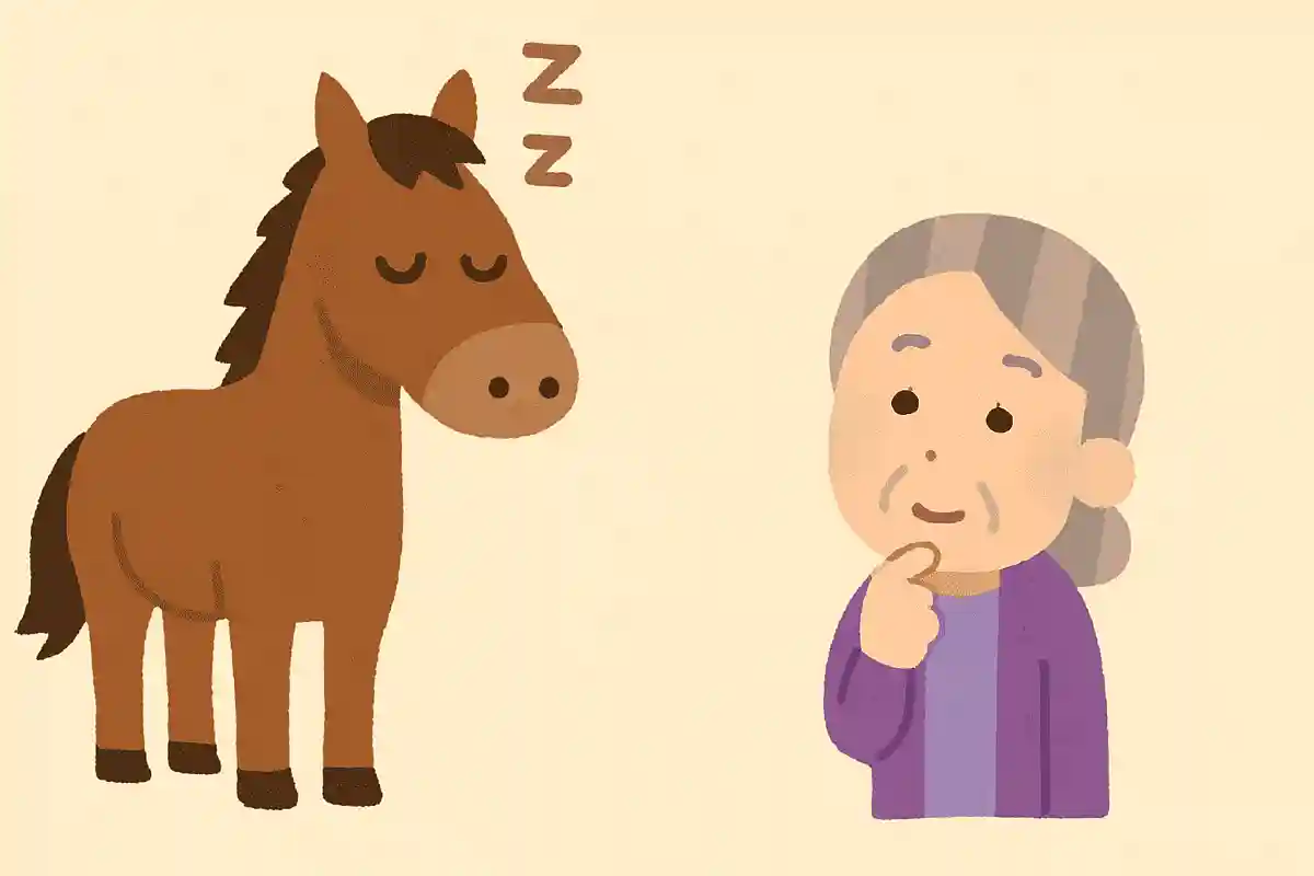 馬の1日の睡眠時間はどのくらいでしょうか？NEW!
