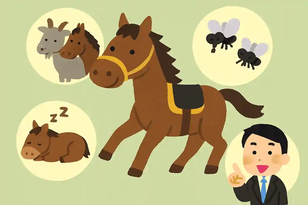 競走馬はアルファベット18文字以内、カタカナ9文字以内で名前をつけるNEW!