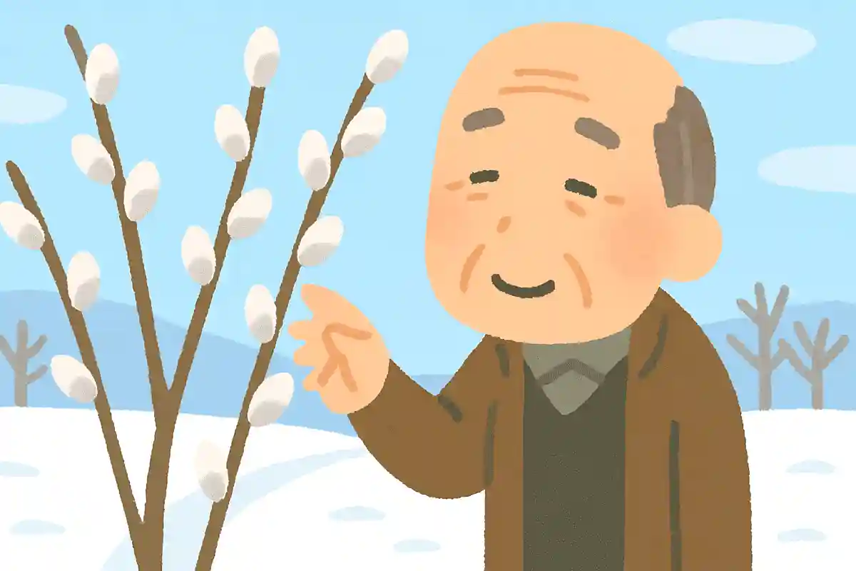 折りかけし 枝もありけり 猫柳NEW!鈴木花蓑