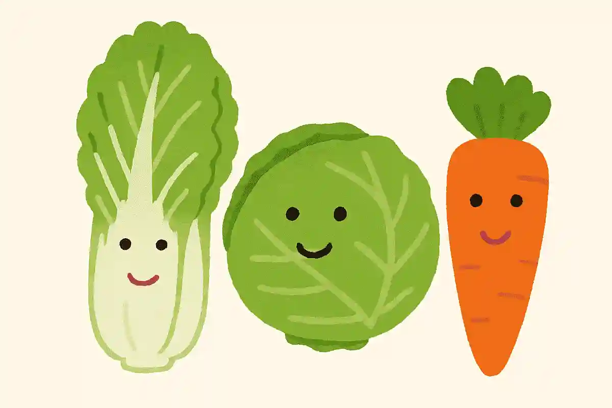 白菜とキャベツと人参、合わせて何さい？NEW!