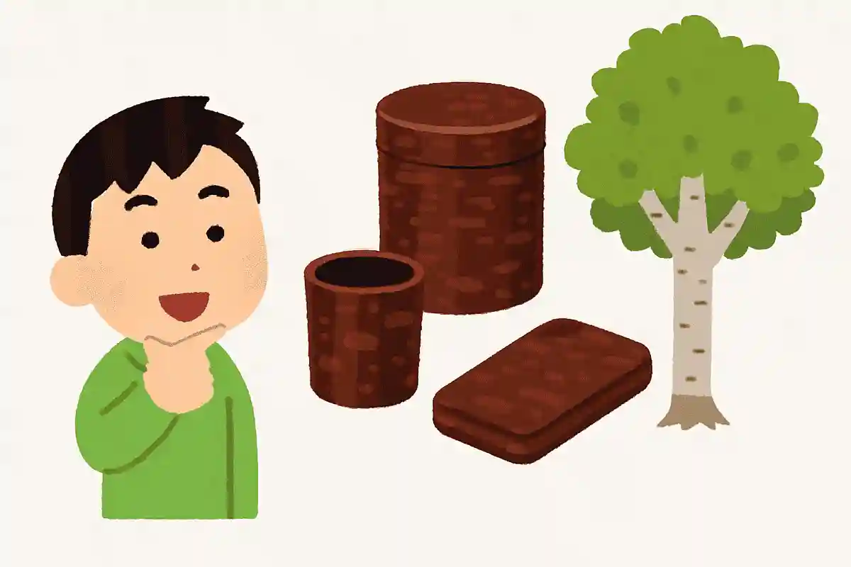秋田県の伝統工芸品「樺細工」は主にどの植物を使って作られるでしょう？NEW!