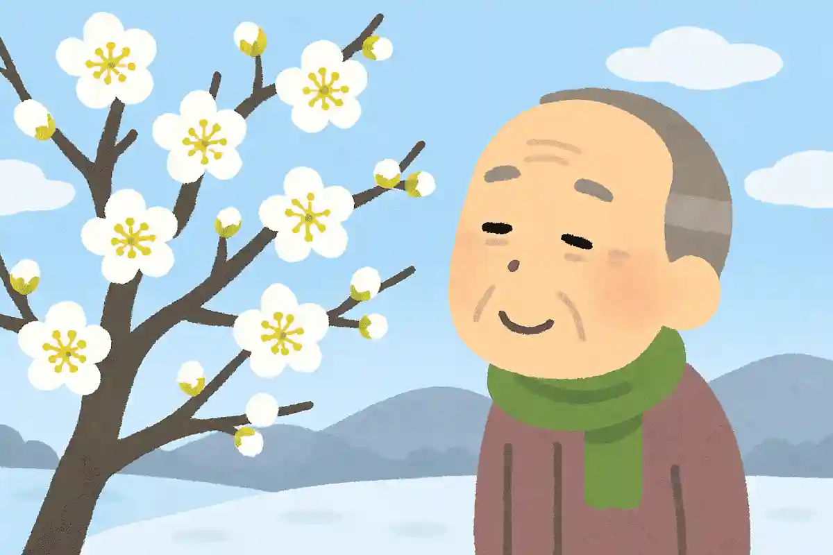 梅白し まことに白く 新しくNEW!星野立子