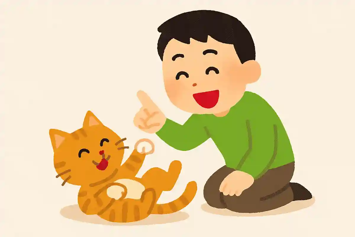 When I’m playing with my cat, could it be that the cat is actually the one playing with me? NEW! Montaigne