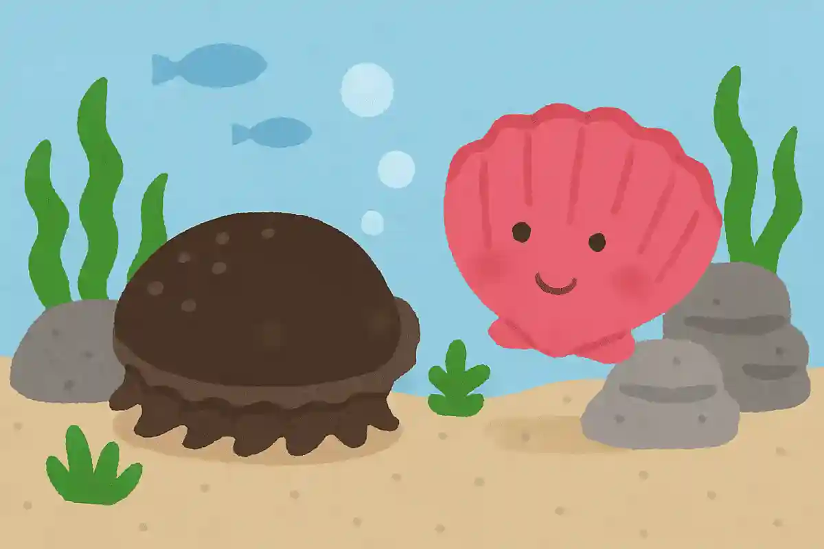 磯の鮑の片思いNEW!