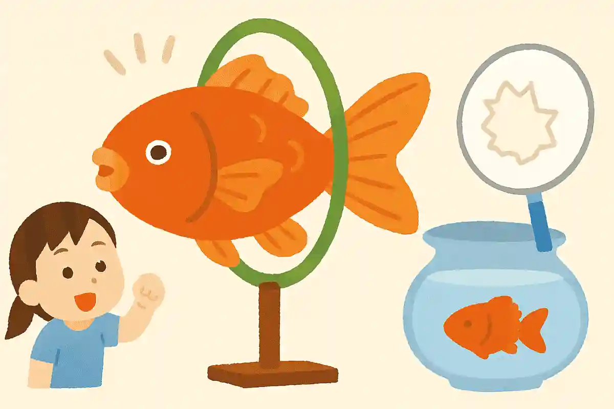 デカ金魚 輪くぐり披露 破れポイNEW!