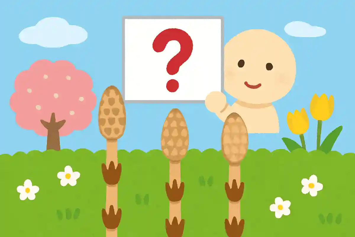 3月になると姿を現すつくしの花言葉はなんでしょう？