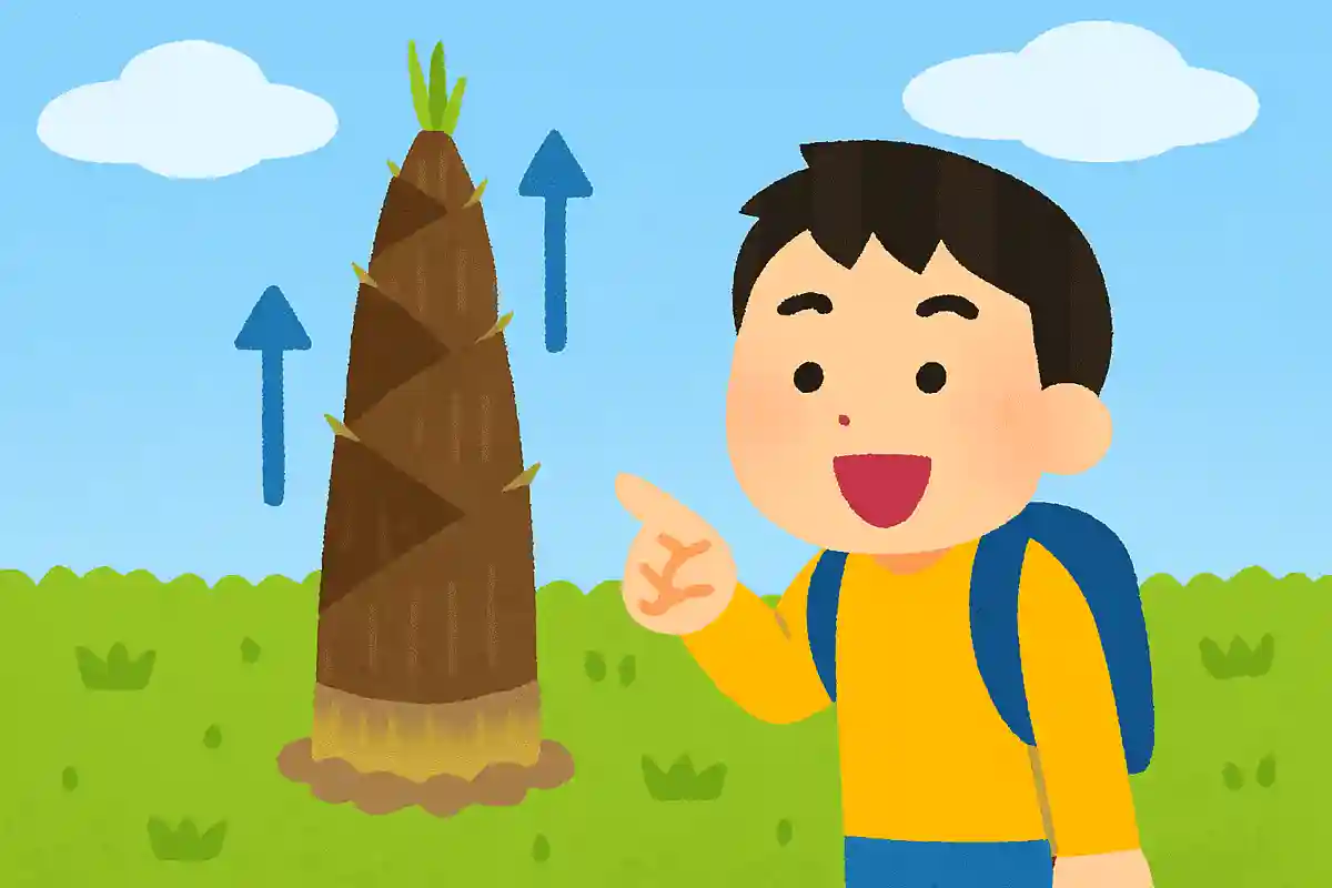 죽순은 하루에 1m 이상 자라기도 한다