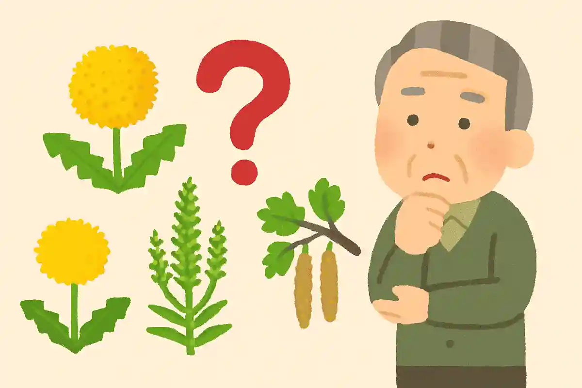 8～10月にかけて飛散のピークを迎える花粉はどれでしょうか？NEW!