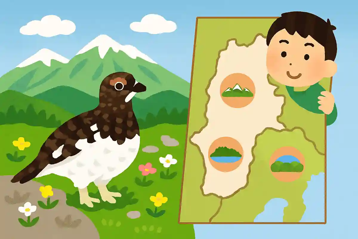 The “rock ptarmigan,” which inhabits the high mountain regions of Nagano Prefecture, is also designated as a Natural Monument of Japan. In which areas do rock ptarmigans live?NEW!