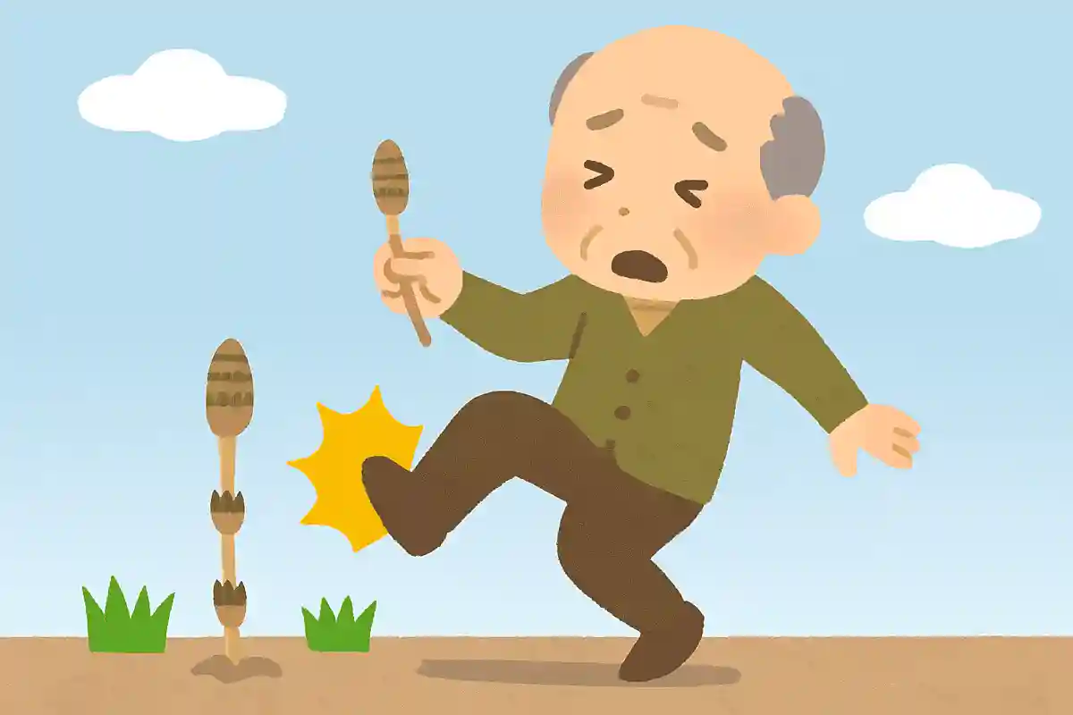 すごすごと 摘やつまずや 土筆NEW!宝井其角