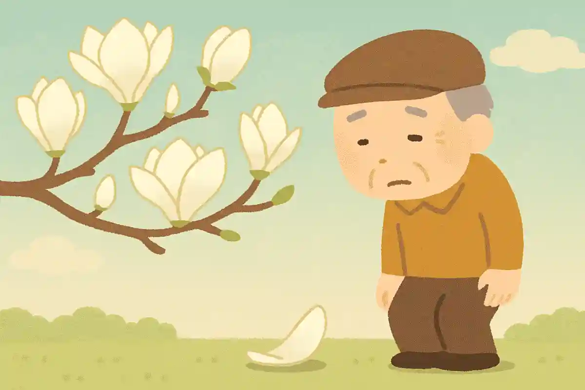 Magnolia petals have been torn off by the wind. NEW! Takashi Matsumoto