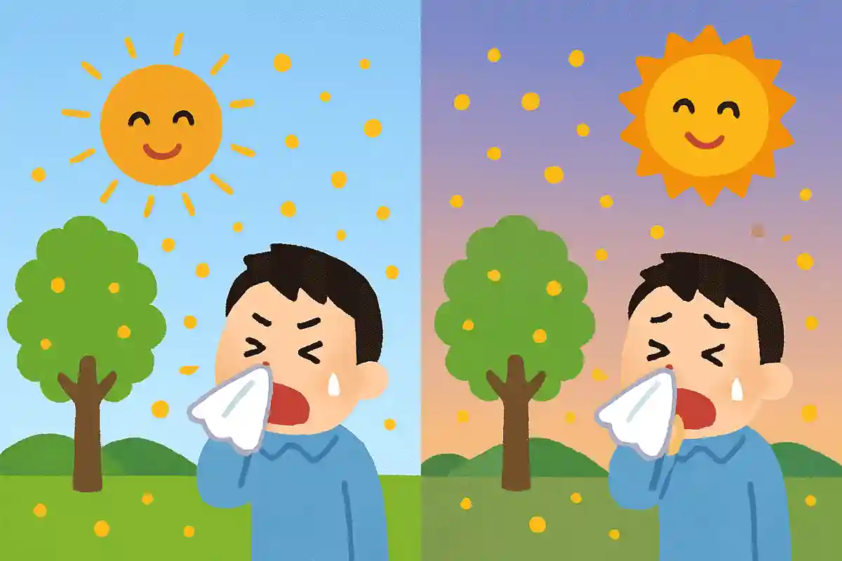 1日の中での花粉のピークは2回あるNEW!