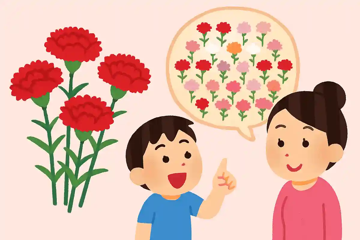 카네이션은 전 세계에 약 3000종이 있다NEW!