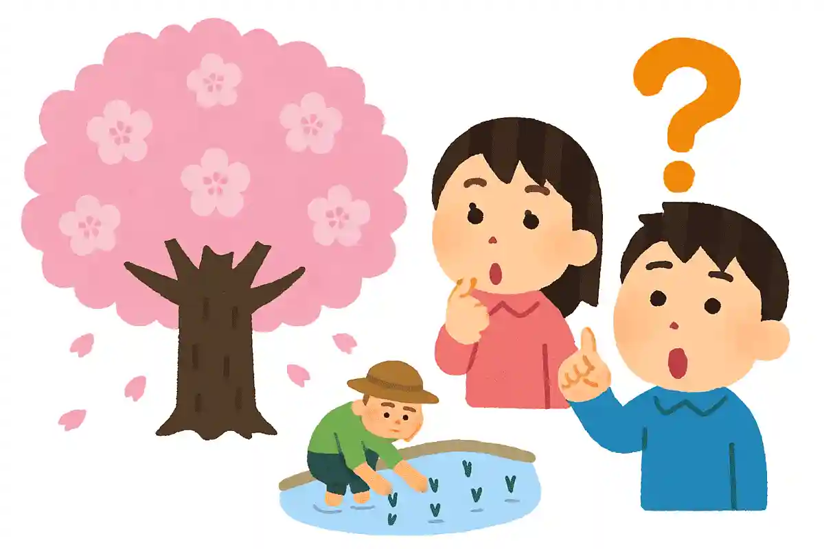 예전에는 벚꽃이 무엇의 신호로 소중히 여겨졌을까요?NEW!