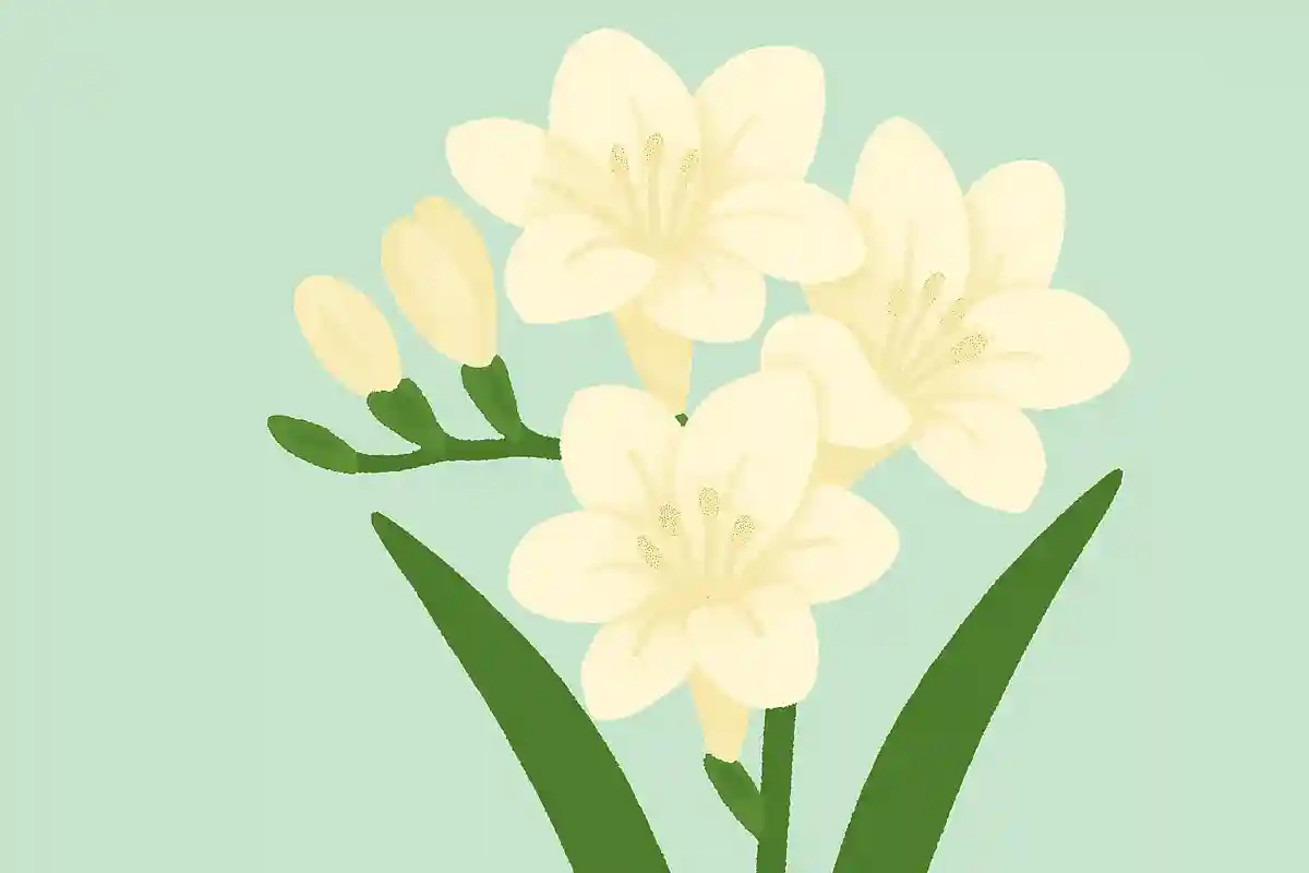 ‘향설란’은 어떻게 읽을까요?NEW!