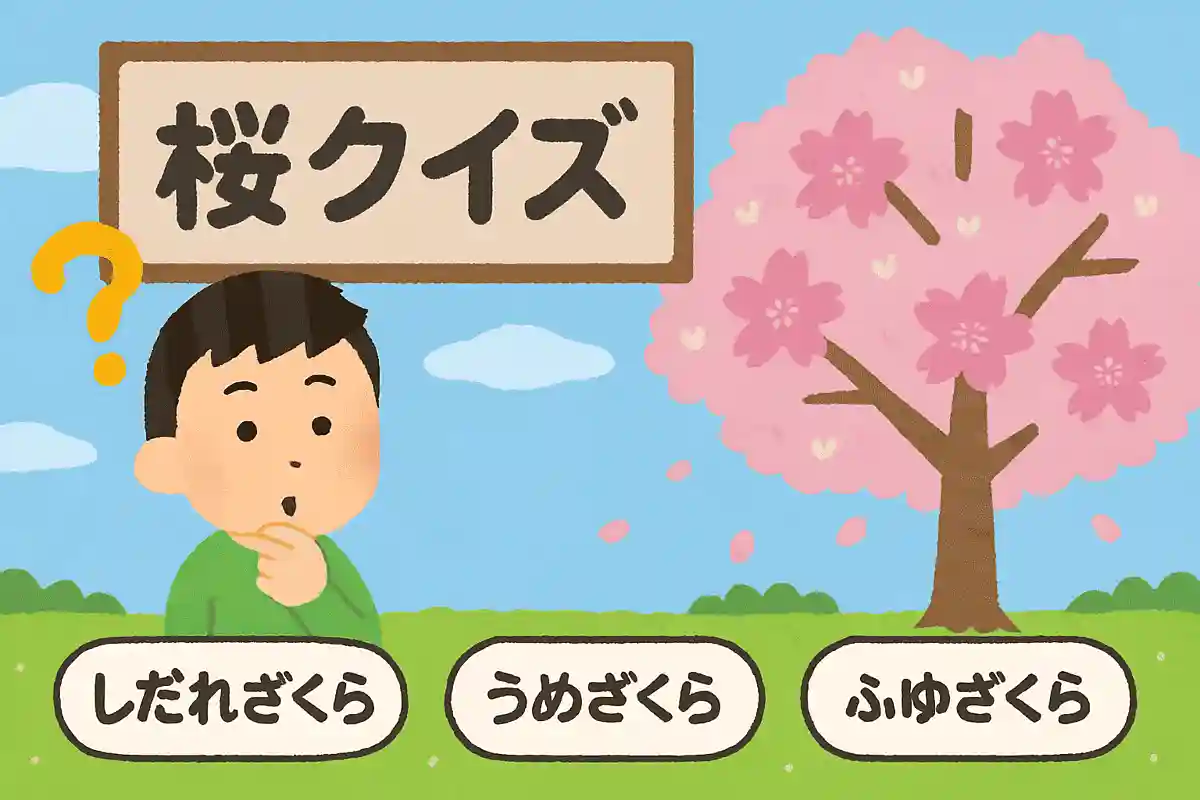 실제로 있는 벚꽃의 명칭은 다음 중 어느 것일까요?NEW!