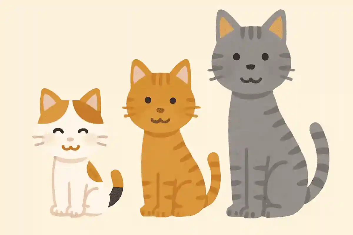 世界一高い猫はどれ？NEW!