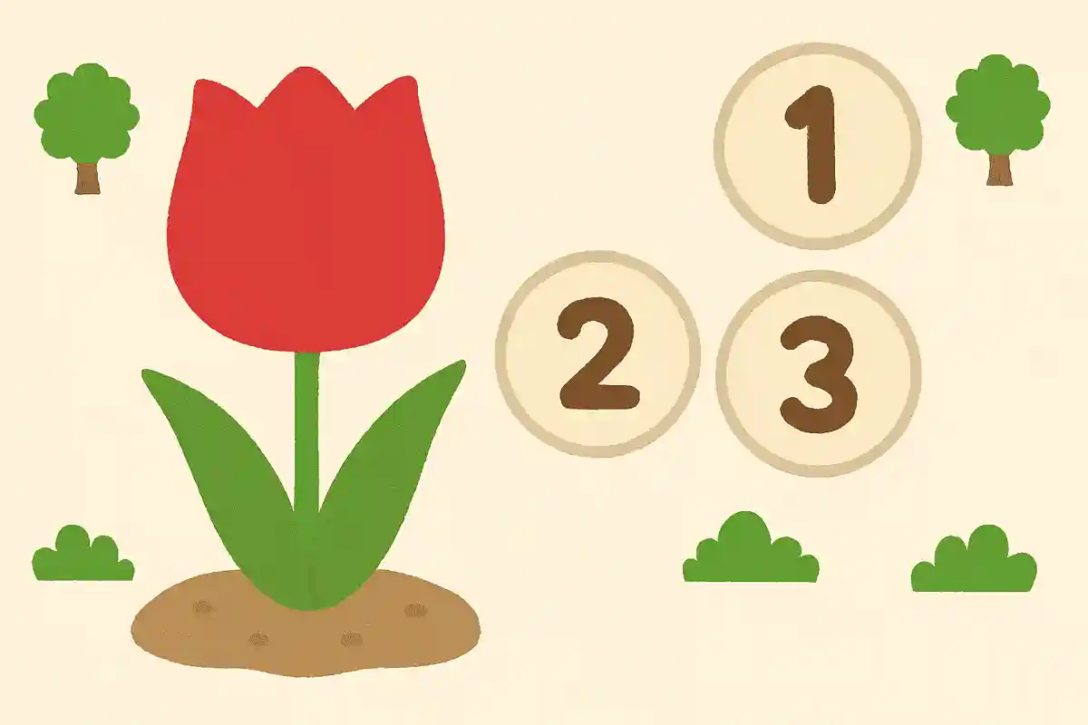 チューリップの花びらは何枚でしょうか？NEW!