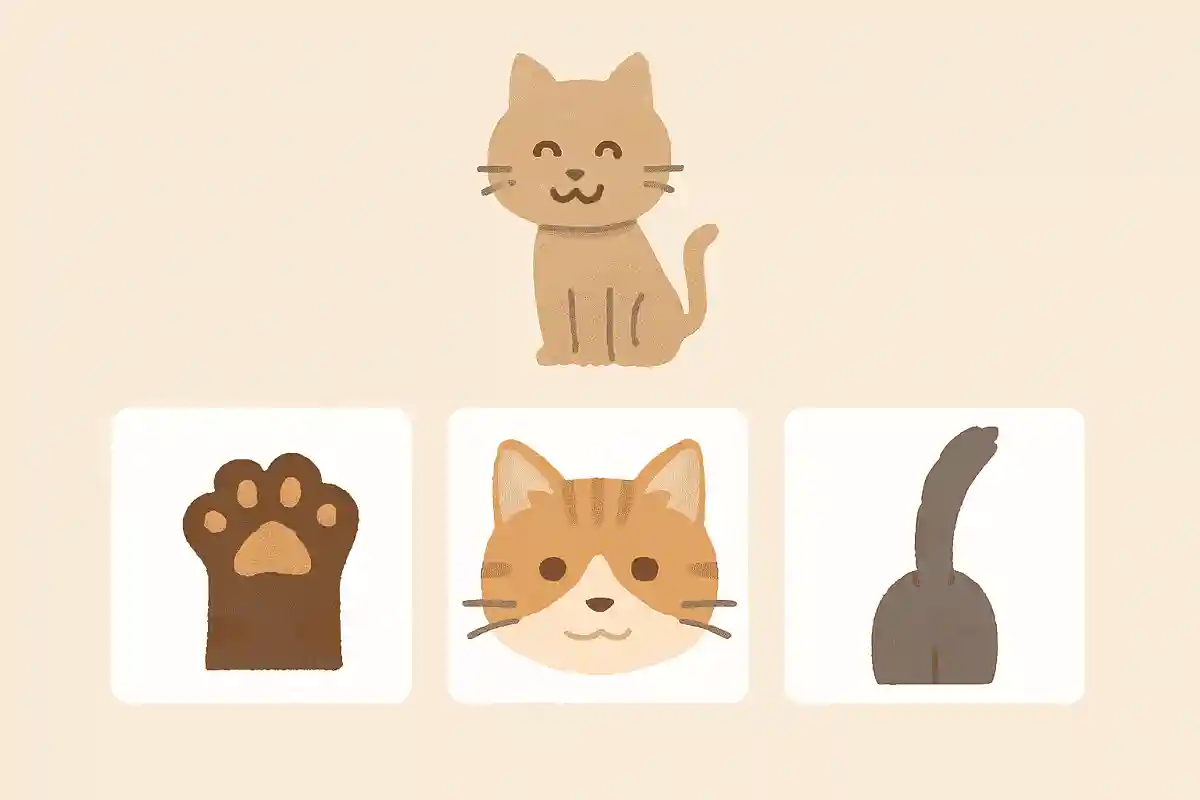 犬にはあるのに猫にはない毛は？NEW!