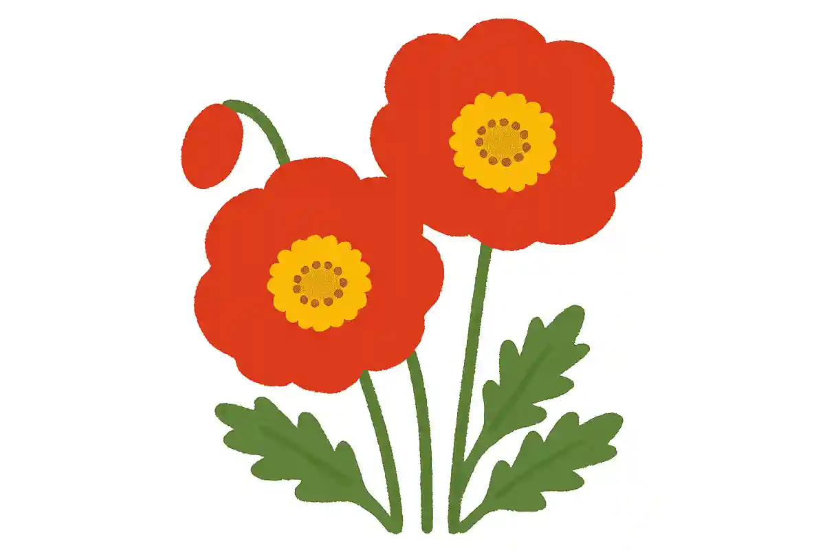 「雛罌粟」は 무엇이라고 읽을까요?NEW!