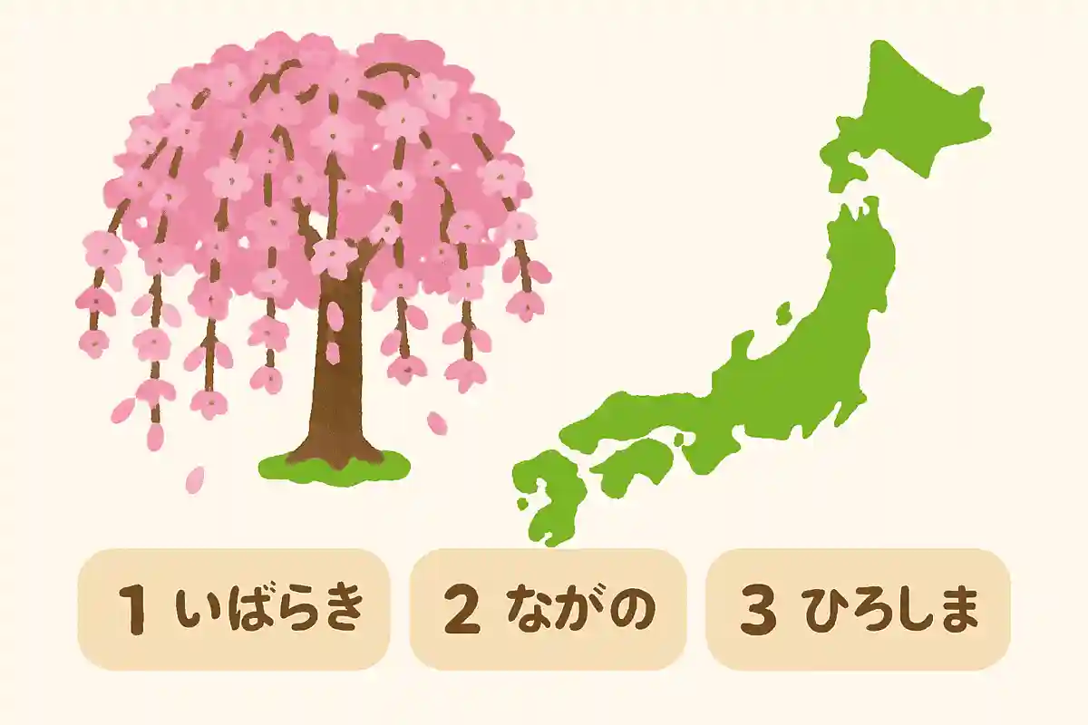 しだれ桜を都道府県の花にしているのはどこ？NEW!