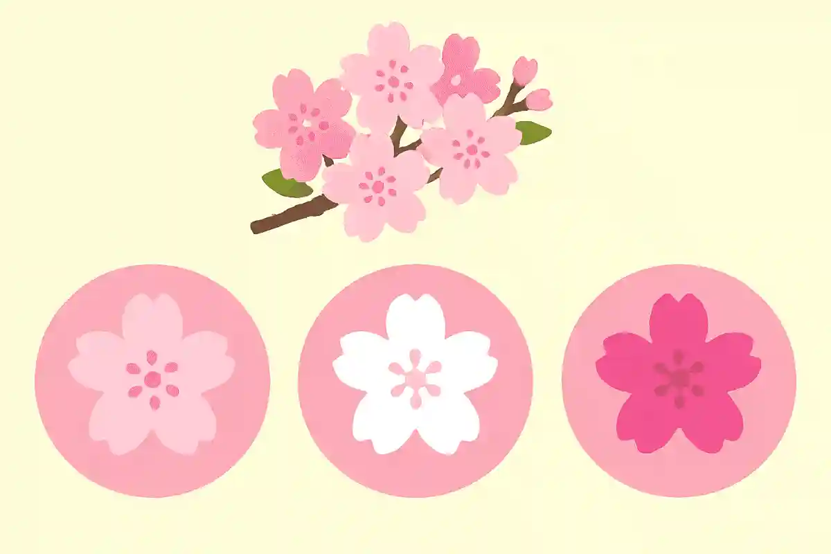 실제로 있는 벚꽃의 색은 다음 중 어느 것일까요?NEW!