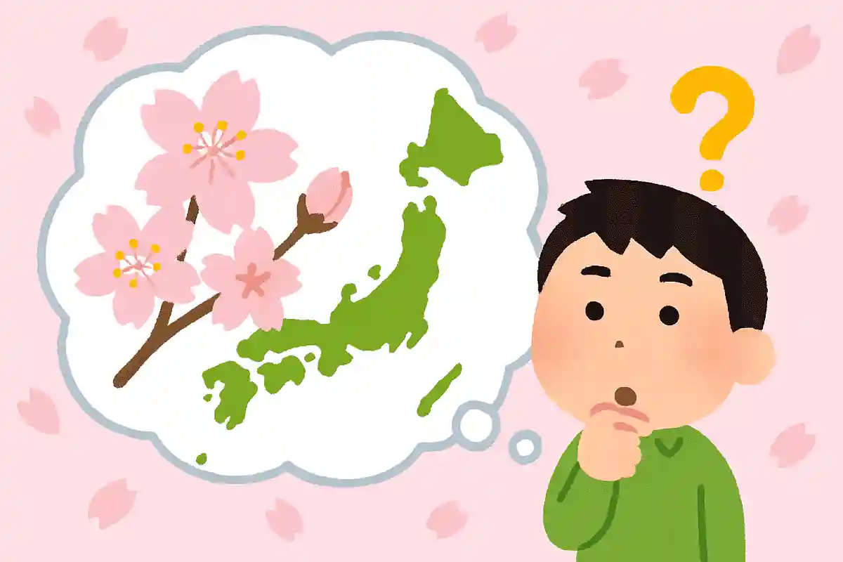 오키나와현에서는 소메이요시노가 개화하지 않습니다. 그 이유는 무엇일까요?NEW!