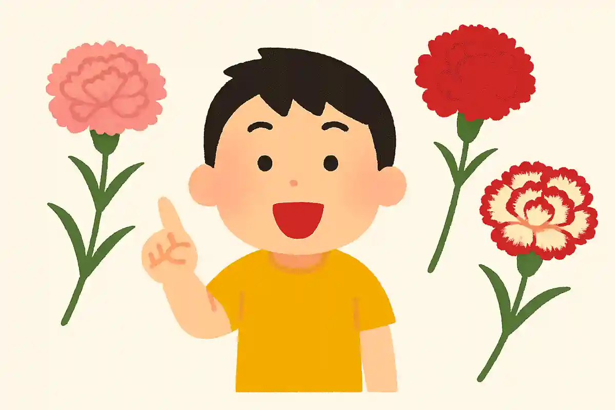 세계에는 카네이션이 몇 종류나 있다고 여겨질까요?NEW!