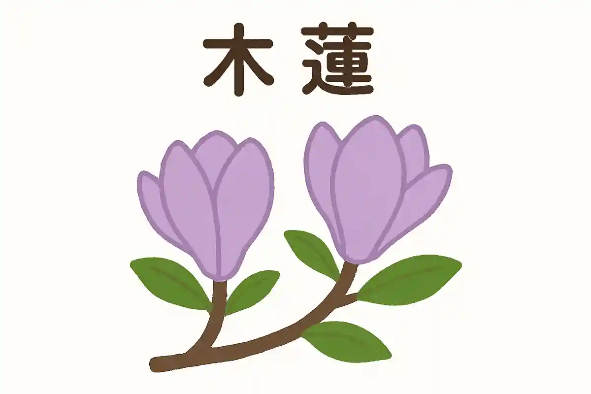 How do you read “木蓮”? NEW!