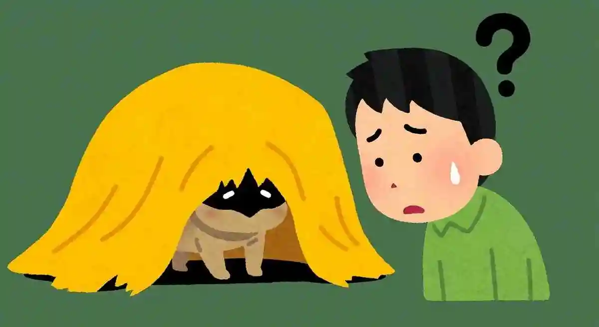 천 안의 정체를 보면 수수께끼의 병에 걸린다고 믿어지는 포켓몬은 무엇일까요?NEW!