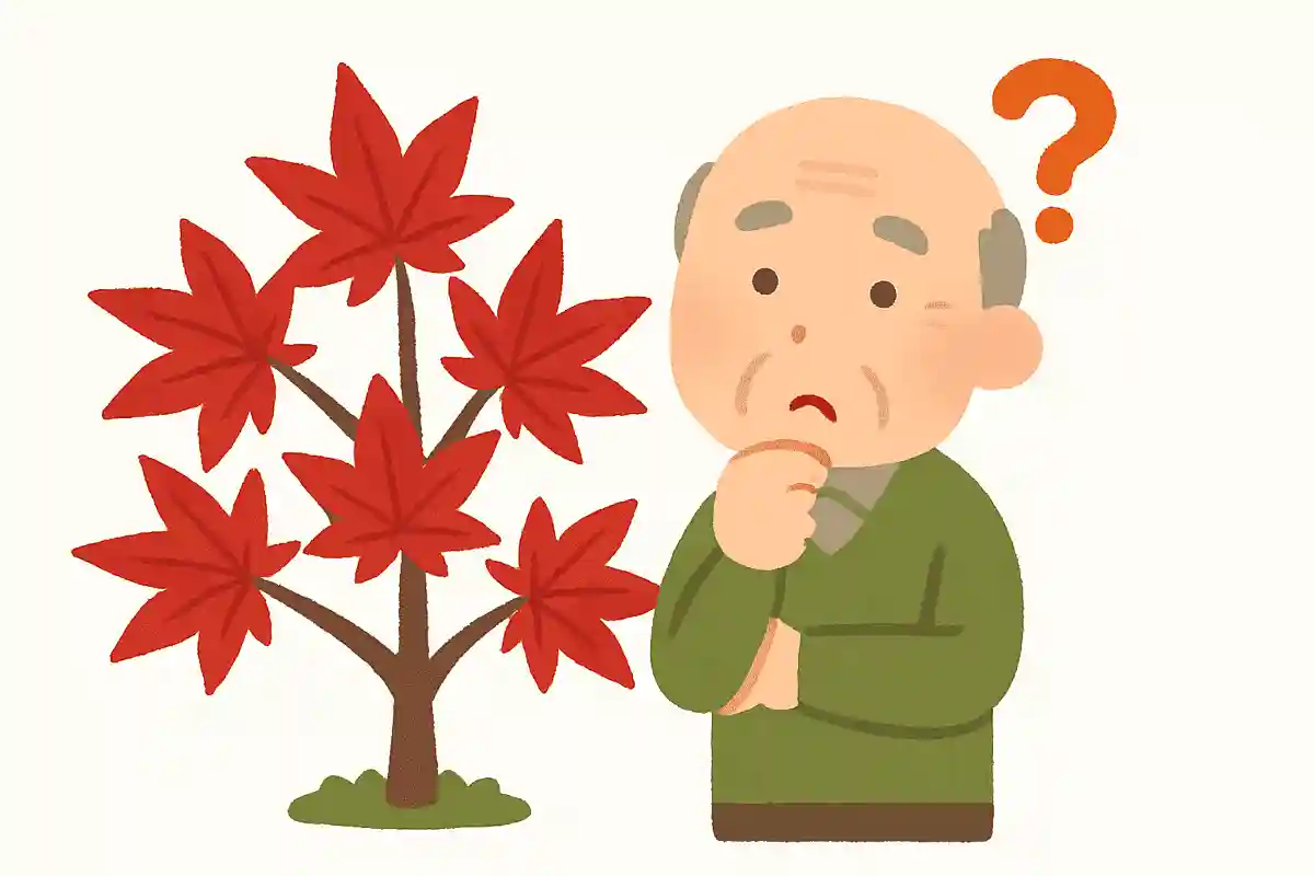 It’s said that plants also have blood types, but what type is the maple that turns red in autumn?