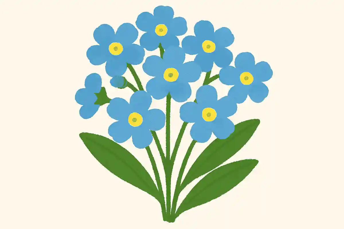 How do you read “勿忘草”? NEW!