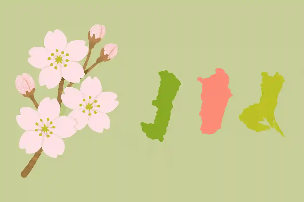ソメイヨシノを都道府県の花にしているのはどこ？NEW!