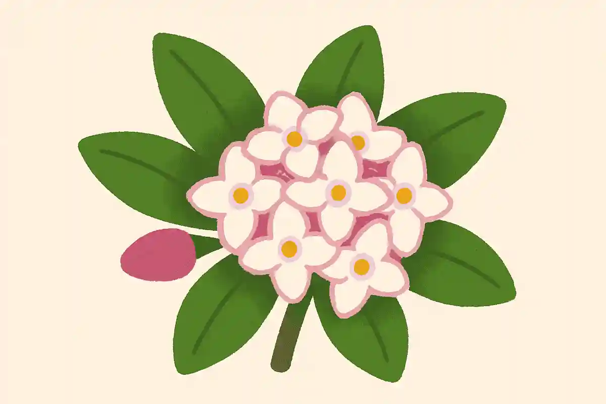 How do you read “沈丁花”?NEW!