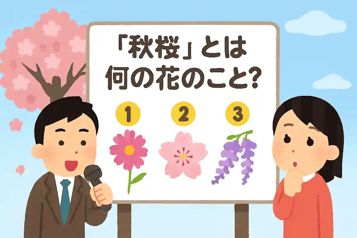 「秋桜」とは何の花のこと？NEW!