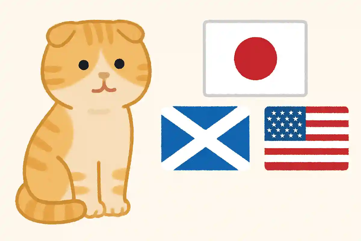 スコティッシュフォールドが生まれた国はどこ？NEW!
