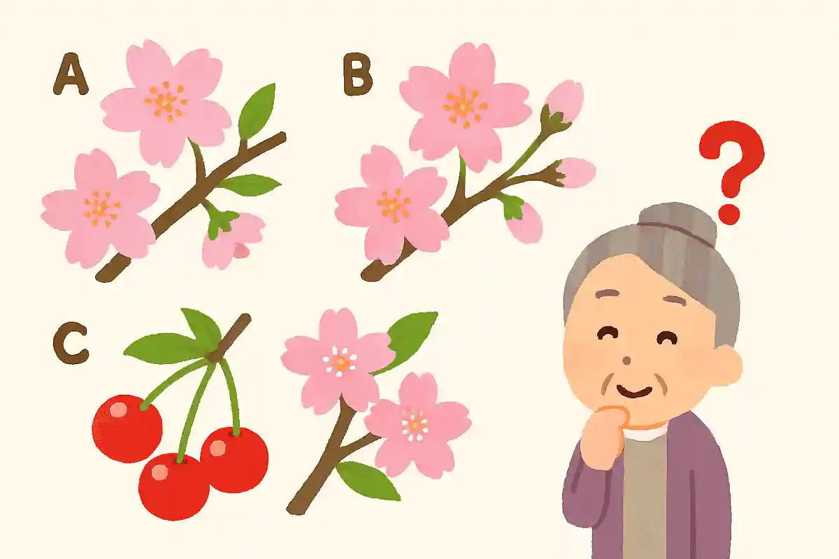 次のうち、さくらんぼができる桜はどれでしょうか？NEW!