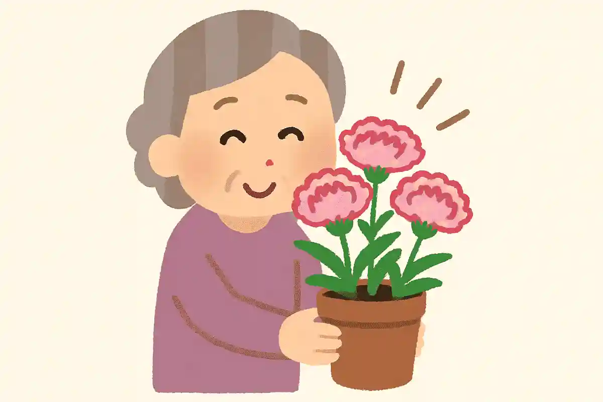 "딸기 휘핑"이라는 이름의 카네이션이 있다NEW!