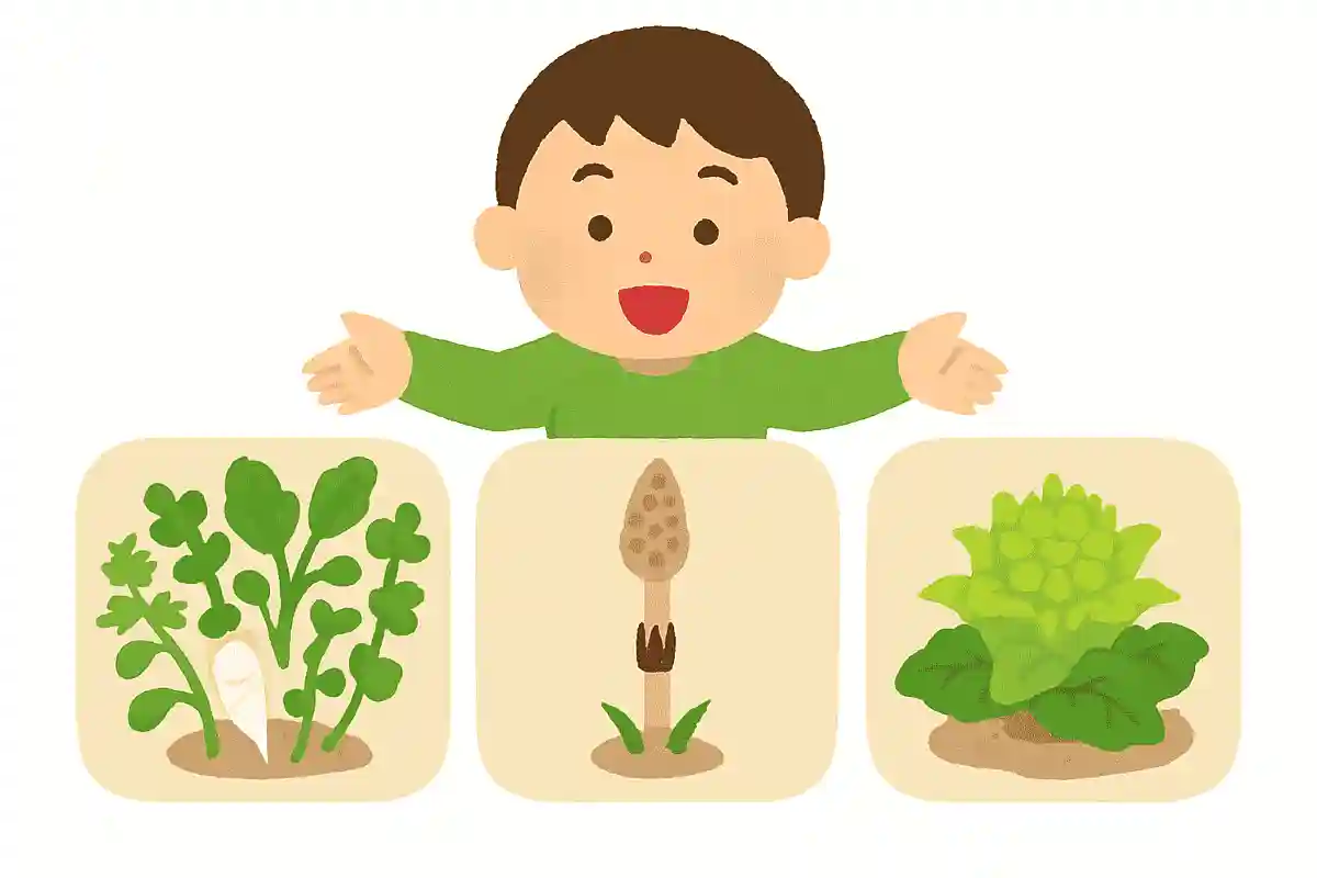 春の七草は次のうちどれでしょうか？NEW!