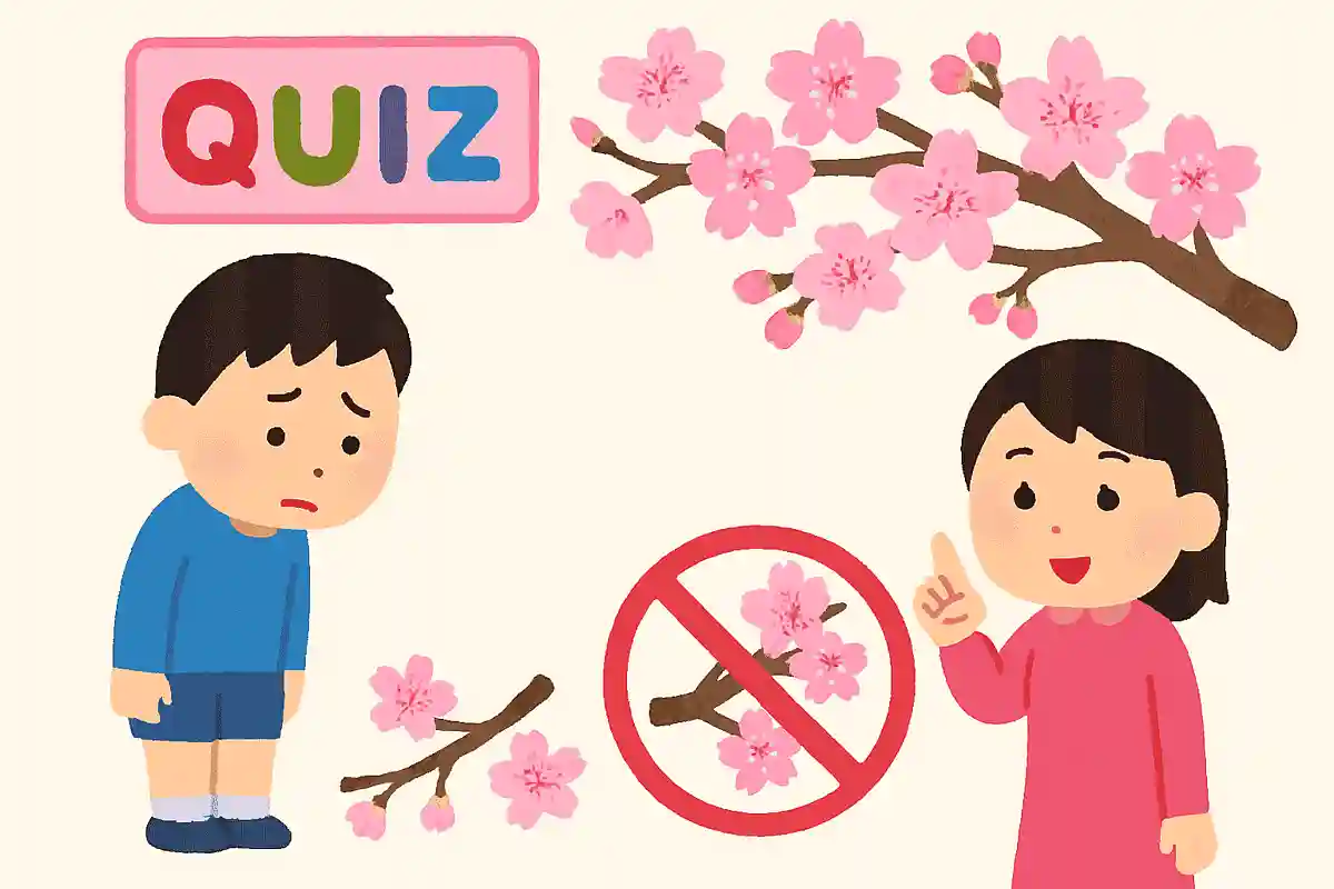 벚꽃의 가지를 꺾으면 안 되는 이유는 다음 중 어느 것일까요?NEW!