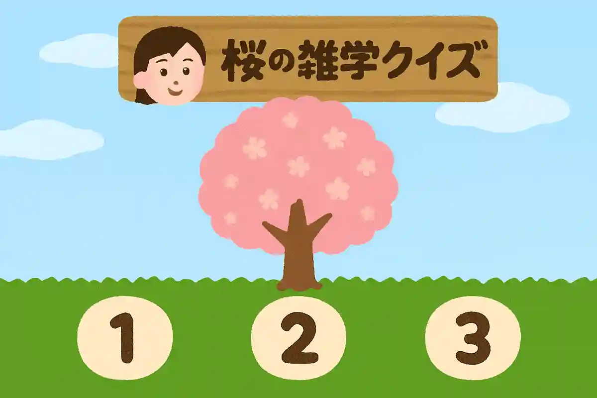 桜の木は何m間隔で植えるといい？NEW!